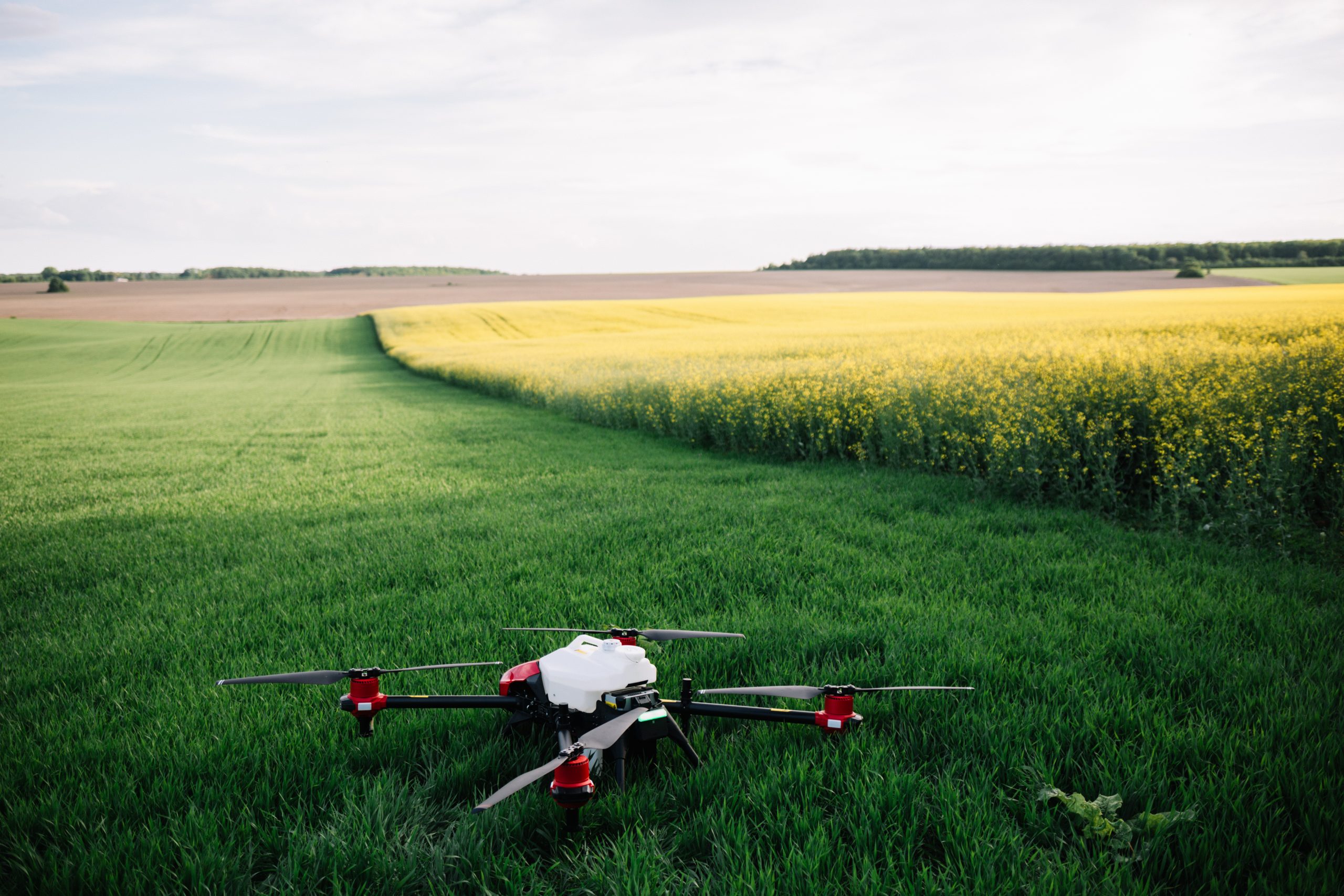 flying-agriculture-drone-on-the-sweet-corn-fields-2023-11-27-05-11-43-utc